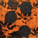 natures-orange-blackkopie-kopie2