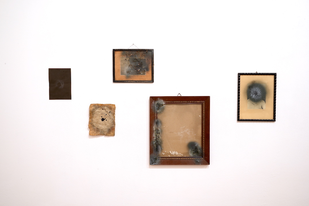 dsc02852-kopie-21 dsc02852-kopie-21