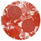 ekrem-yalcindagtwhite-red-2-100