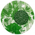 ekrem-yalcindagwhite-green-1-100-kopie-22